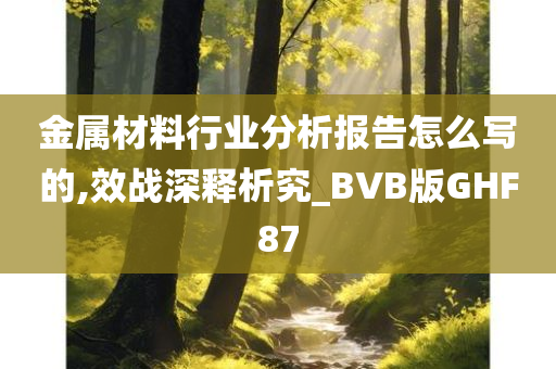 金属材料行业分析报告怎么写的,效战深释析究_BVB版GHF87