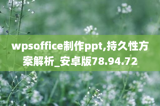 wpsoffice制作ppt,持久性方案解析_安卓版78.94.72