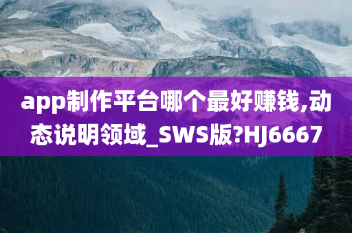 app制作平台哪个最好赚钱,动态说明领域_SWS版?HJ6667