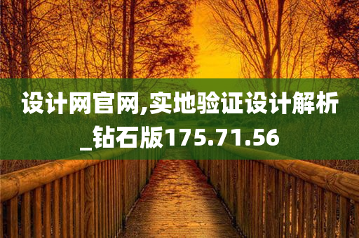 设计网官网,实地验证设计解析_钻石版175.71.56