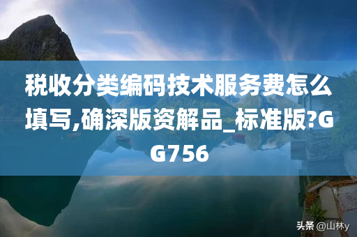 税收分类编码技术服务费怎么填写,确深版资解品_标准版?GG756