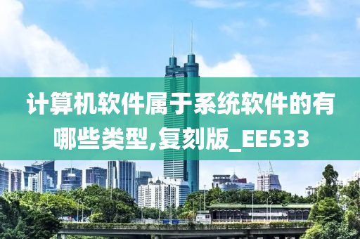 计算机软件属于系统软件的有哪些类型,复刻版_EE533