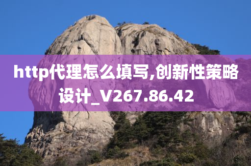 http代理怎么填写,创新性策略设计_V267.86.42