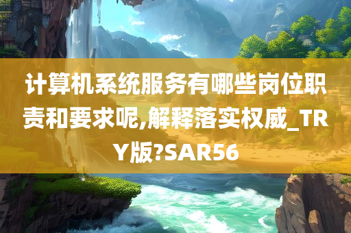 计算机系统服务有哪些岗位职责和要求呢,解释落实权威_TRY版?SAR56