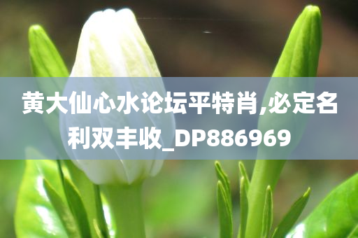 黄大仙心水论坛平特肖,必定名利双丰收_DP886969