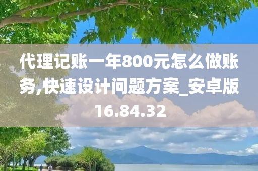 代理记账一年800元怎么做账务,快速设计问题方案_安卓版16.84.32