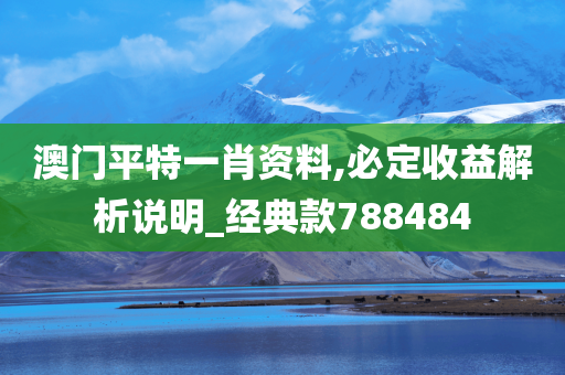 澳门平特一肖资料,必定收益解析说明_经典款788484