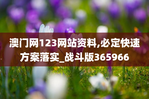 澳门网123网站资料,必定快速方案落实_战斗版365966