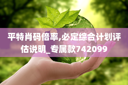 平特肖码倍率,必定综合计划评估说明_专属款742099