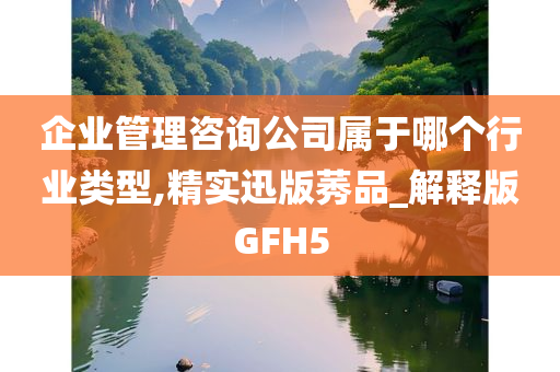 企业管理咨询公司属于哪个行业类型,精实迅版莠品_解释版GFH5