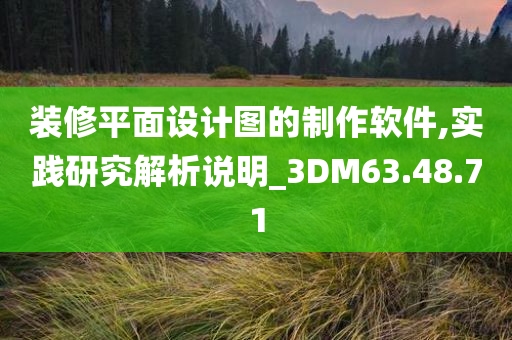 装修平面设计图的制作软件,实践研究解析说明_3DM63.48.71