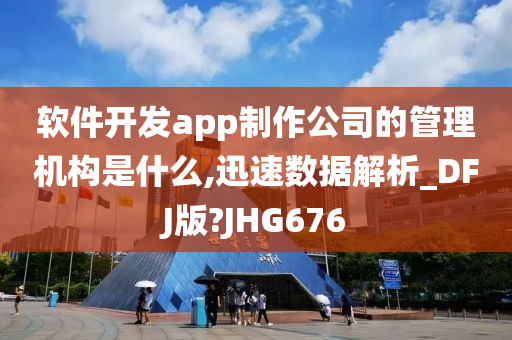 软件开发app制作公司的管理机构是什么,迅速数据解析_DFJ版?JHG676