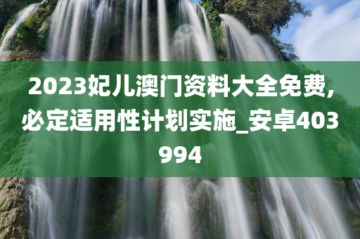 2023妃儿澳门资料大全免费,必定适用性计划实施_安卓403994