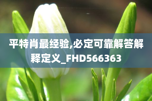 平特肖最经验,必定可靠解答解释定义_FHD566363