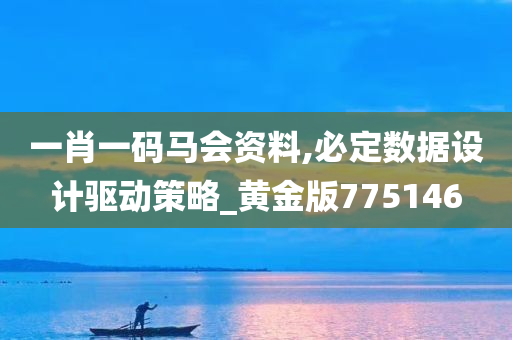 一肖一码马会资料,必定数据设计驱动策略_黄金版775146