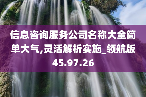 信息咨询服务公司名称大全简单大气,灵活解析实施_领航版45.97.26