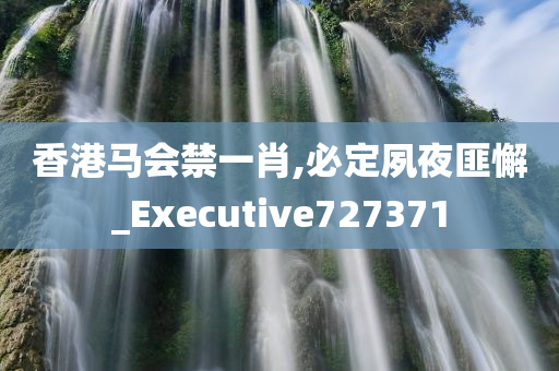 香港马会禁一肖,必定夙夜匪懈_Executive727371