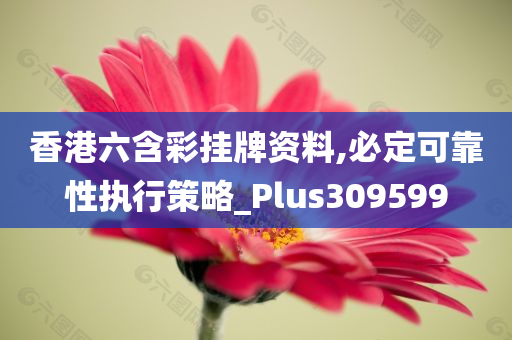 香港六含彩挂牌资料,必定可靠性执行策略_Plus309599