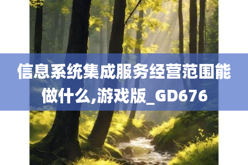 信息系统集成服务经营范围能做什么,游戏版_GD676