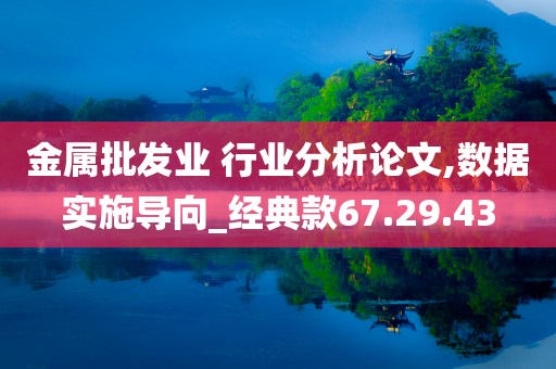 金属批发业 行业分析论文,数据实施导向_经典款67.29.43