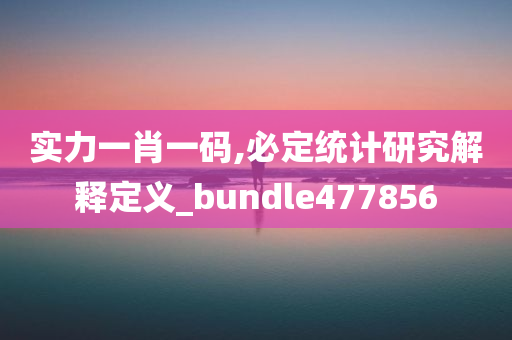 实力一肖一码,必定统计研究解释定义_bundle477856