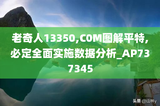 老奇人13350,C0M图解平特,必定全面实施数据分析_AP737345