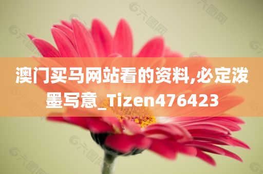 澳门买马网站看的资料,必定泼墨写意_Tizen476423