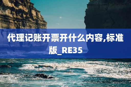 代理记账开票开什么内容,标准版_RE35