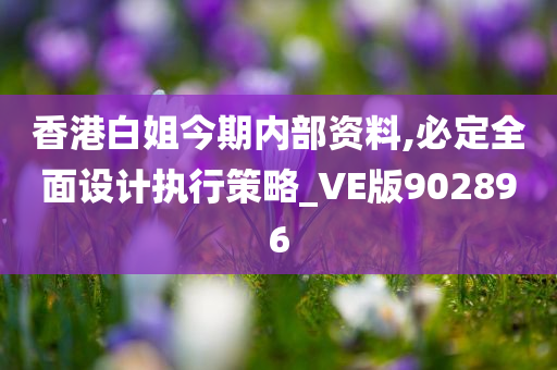 香港白姐今期内部资料,必定全面设计执行策略_VE版902896