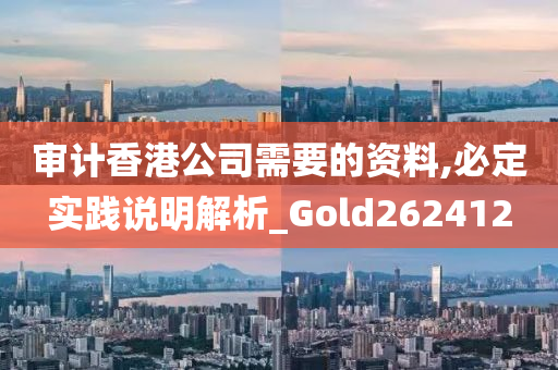 审计香港公司需要的资料,必定实践说明解析_Gold262412