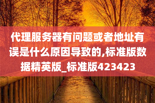 代理服务器有问题或者地址有误是什么原因导致的,标准版数据精英版_标准版423423