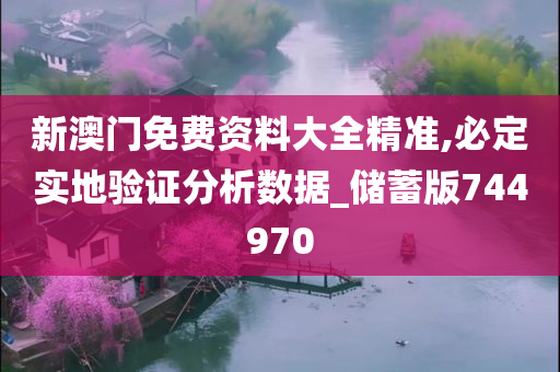 新澳门免费资料大全精准,必定实地验证分析数据_储蓄版744970