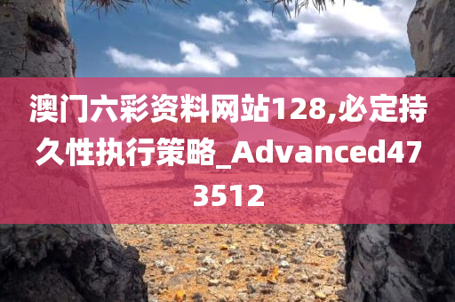 澳门六彩资料网站128,必定持久性执行策略_Advanced473512