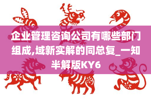 企业管理咨询公司有哪些部门组成,域新实解的同总复_一知半解版KY6