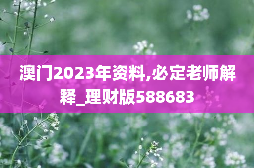 澳门2023年资料,必定老师解释_理财版588683