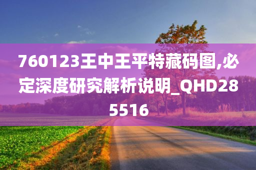 760123王中王平特藏码图,必定深度研究解析说明_QHD285516