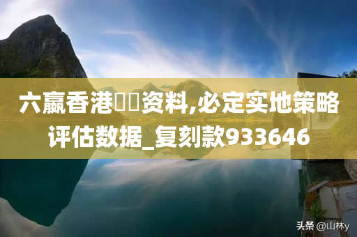 六嬴香港單雙资料,必定实地策略评估数据_复刻款933646