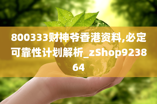 800333财神爷香港资料,必定可靠性计划解析_zShop923864