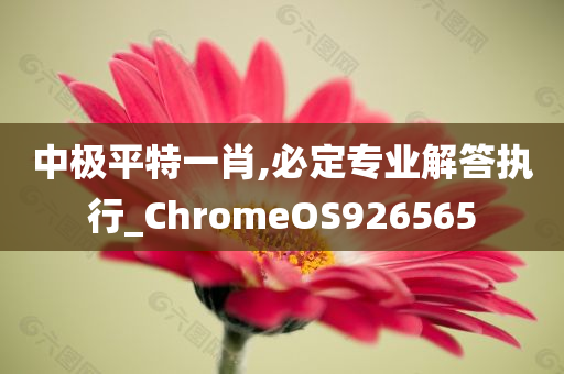 中极平特一肖,必定专业解答执行_ChromeOS926565