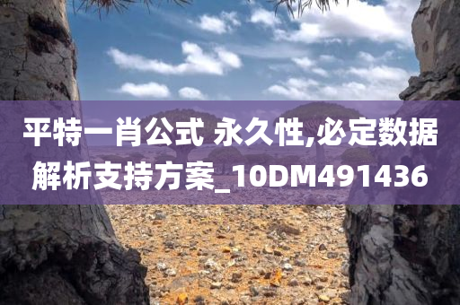 平特一肖公式 永久性,必定数据解析支持方案_10DM491436