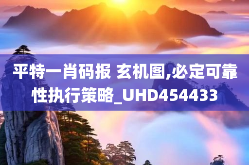 平特一肖码报 玄机图,必定可靠性执行策略_UHD454433