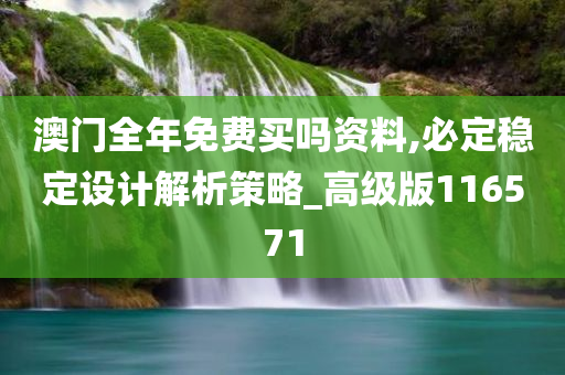 澳门全年免费买吗资料,必定稳定设计解析策略_高级版116571