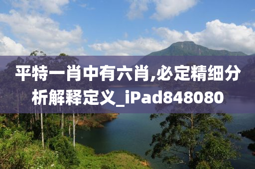 平特一肖中有六肖,必定精细分析解释定义_iPad848080