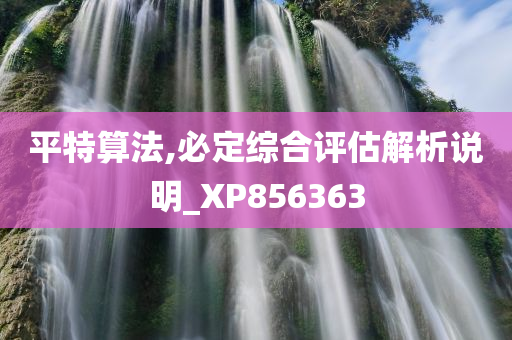 平特算法,必定综合评估解析说明_XP856363