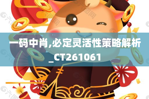 一码中肖,必定灵活性策略解析_CT261061