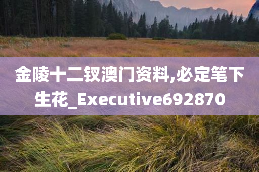 金陵十二钗澳门资料,必定笔下生花_Executive692870