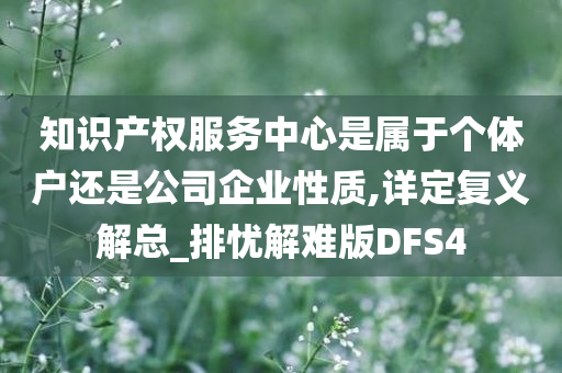 知识产权服务中心是属于个体户还是公司企业性质,详定复义解总_排忧解难版DFS4