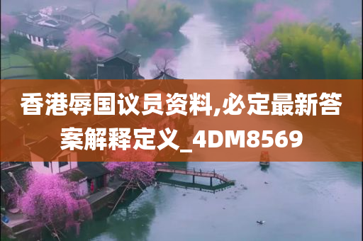 香港辱国议员资料,必定最新答案解释定义_4DM8569