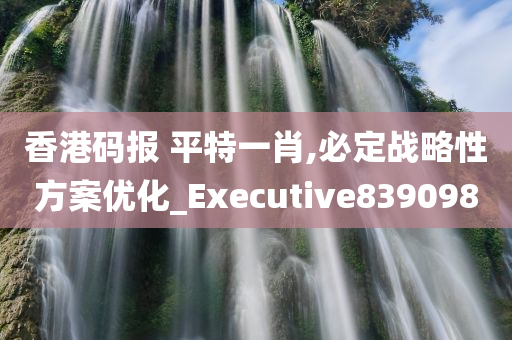 香港码报 平特一肖,必定战略性方案优化_Executive839098