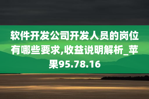 软件开发公司开发人员的岗位有哪些要求,收益说明解析_苹果95.78.16